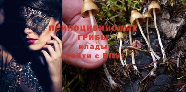 прущая мука Алзамай